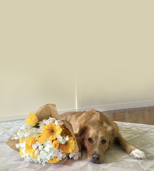 A golden retriever lying beside a vibrant bouquet of yellow and white flowers on a soft rug.