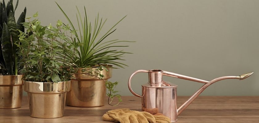 Stylish indoor plants in metallic pots with a copper watering can, enhancing home decor aesthetics.