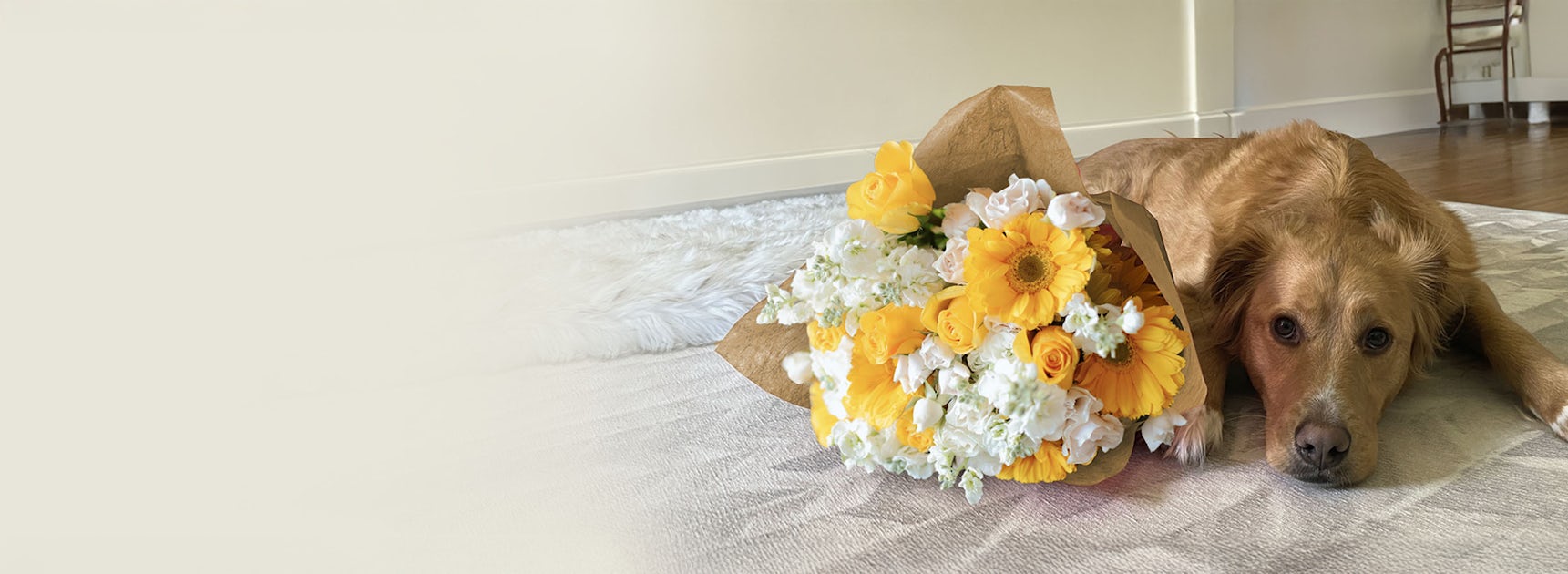 A golden retriever resting beside a vibrant bouquet of yellow flowers on a soft rug.