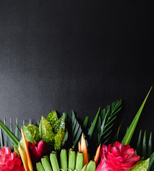 Vibrant floral arrangement featuring pink blooms and lush green foliage against a dark background.