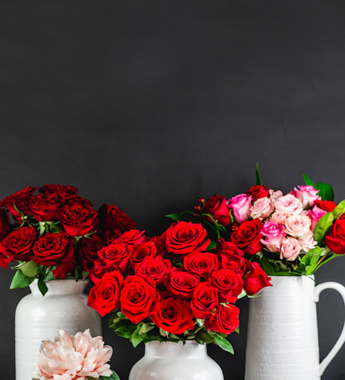 Vibrant arrangement of red and pink roses in elegant white vases against a dark backdrop.