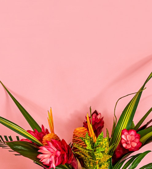 Vibrant tropical flower arrangement featuring pink and yellow blooms against a soft pink backdrop.