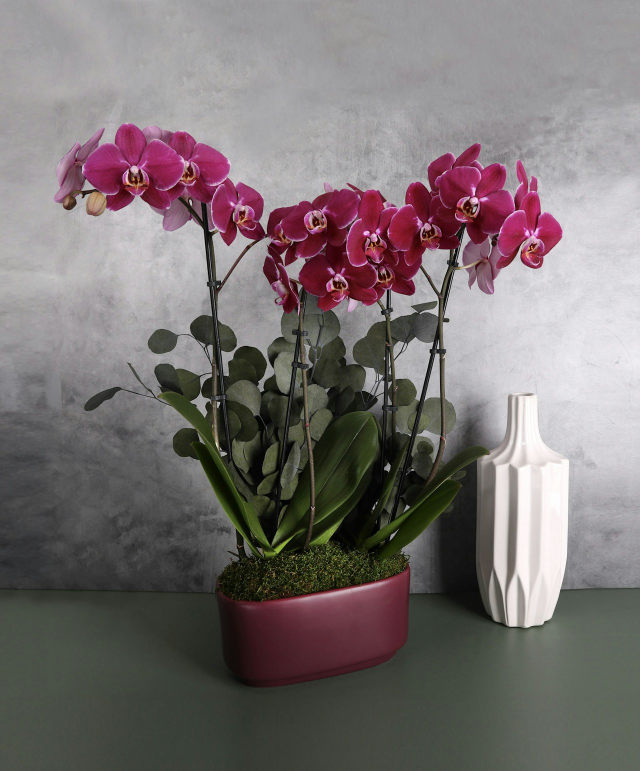 Vibrant purple orchids elegantly displayed in a modern planter, complemented by green foliage.
