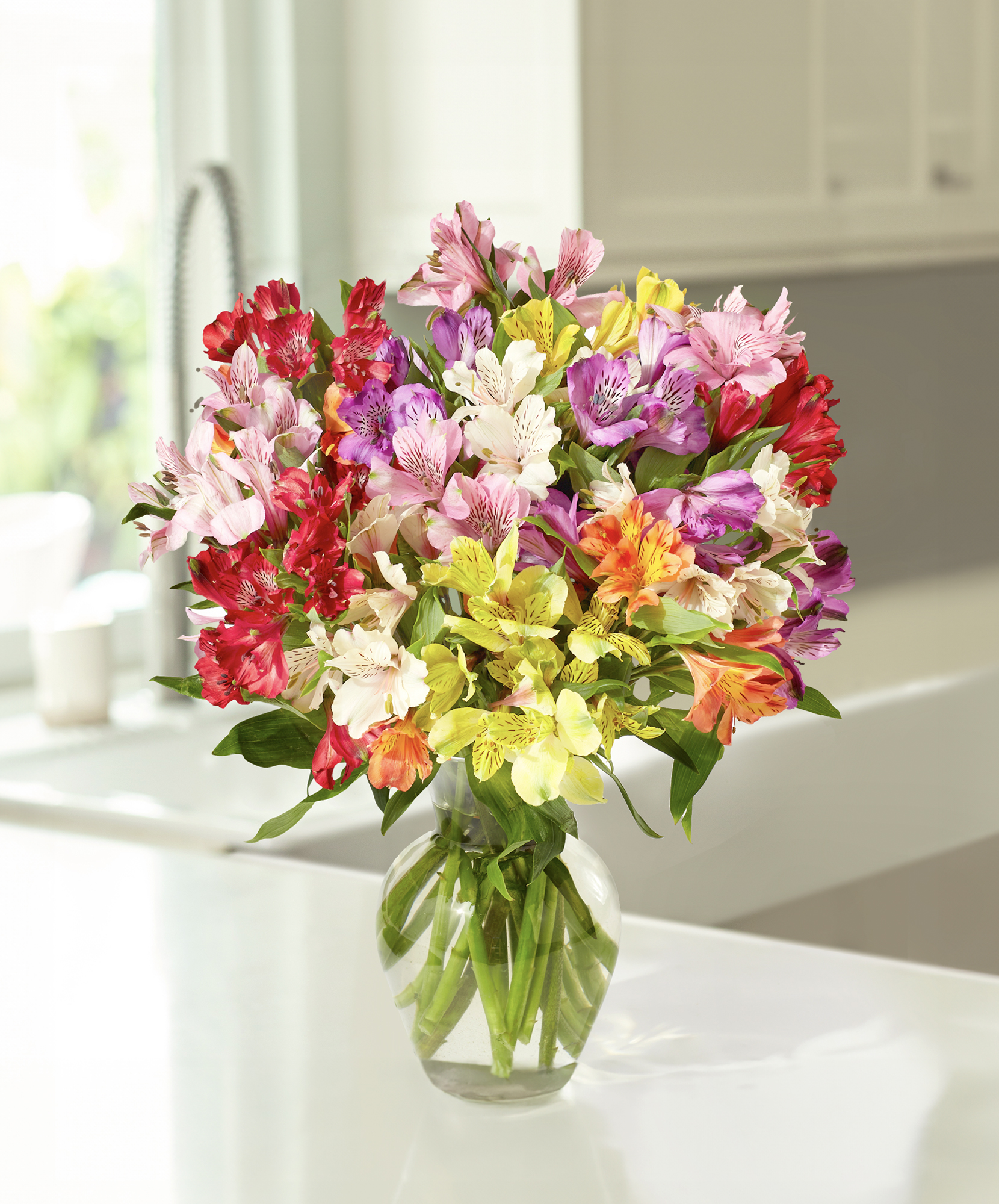 限定100 Flowers of Hope &amp; Field of Flower Field of Joy in Canyon TX - H.R.'s Flowers & Gifts