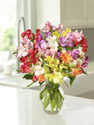 A vibrant bouquet of mixed alstroemeria flowers in a clear glass vase, brightening a kitchen.