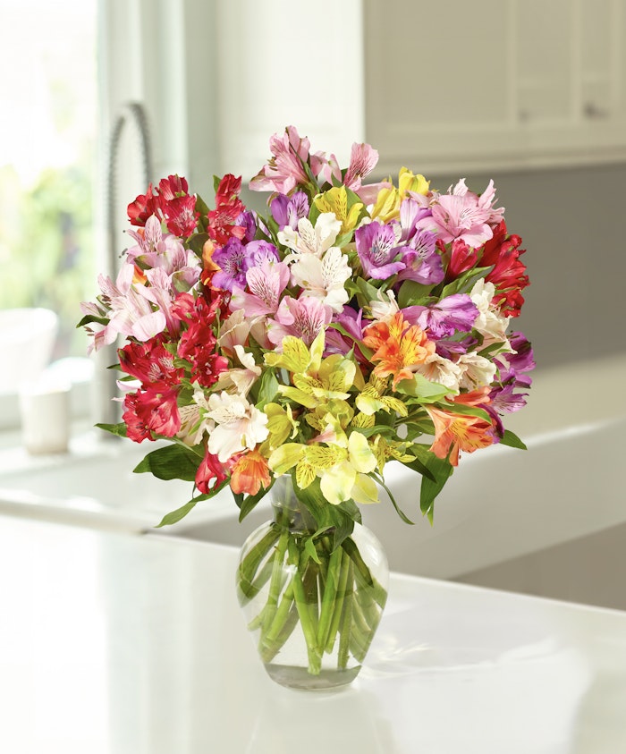 A vibrant bouquet of mixed alstroemeria flowers in a clear glass vase, brightening a kitchen.