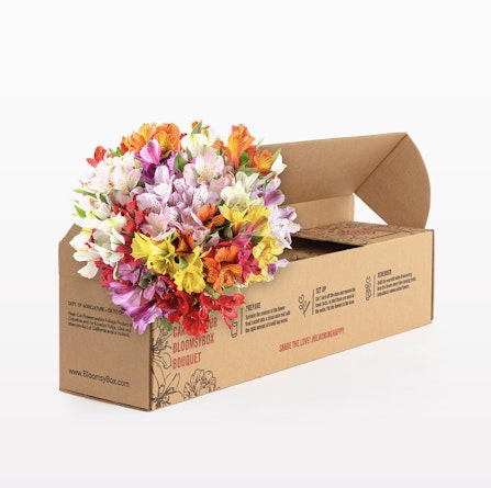 Vibrant bouquet of mixed flowers in a colorful arrangement, beautifully packaged in a BloomsyBox.