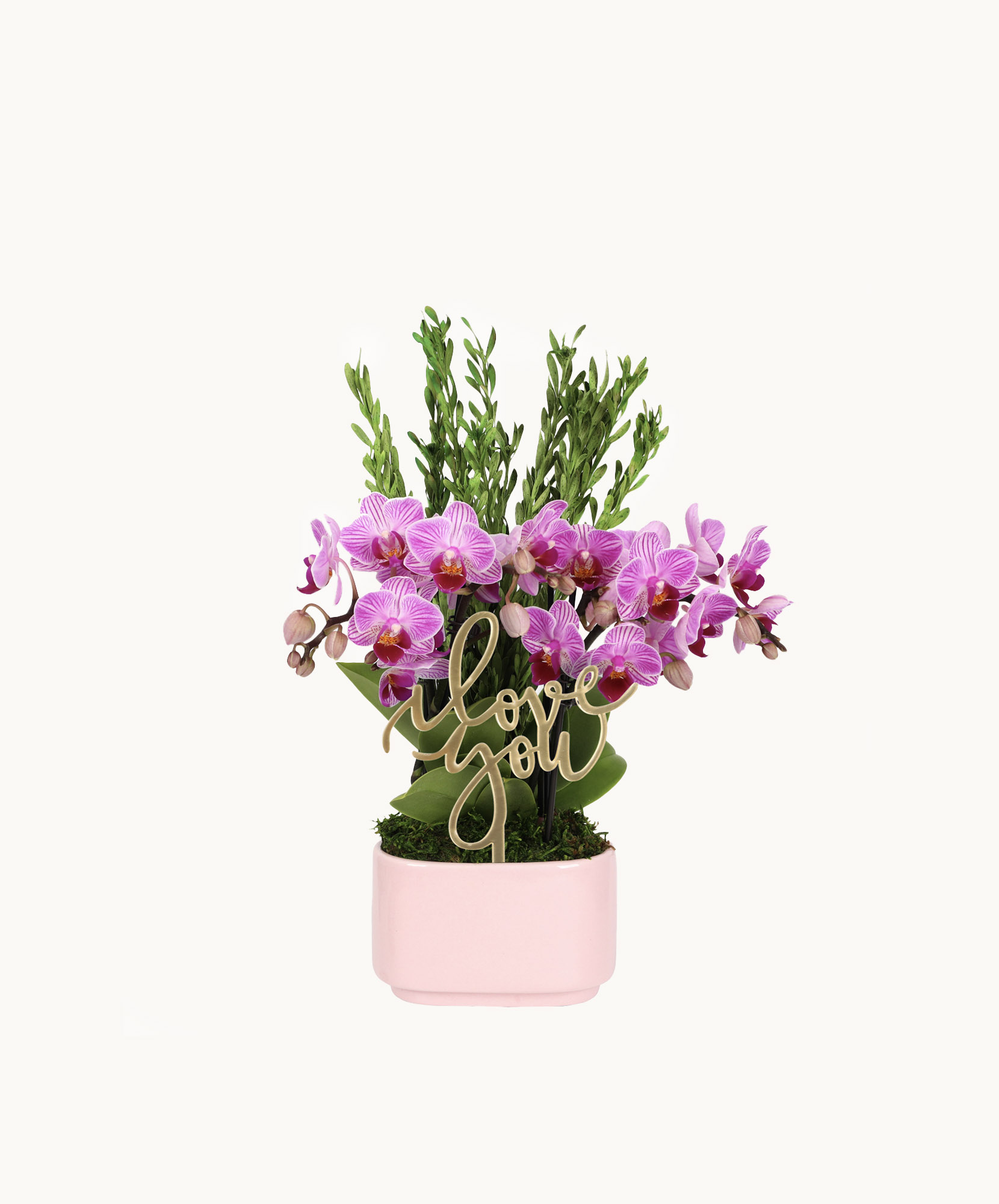 Charming pink orchid arrangement with a decorative "Love You" sign, perfect for gifts.