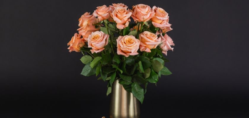 A striking arrangement of peach roses in a stylish vase, perfect for elegant decor or gifting.