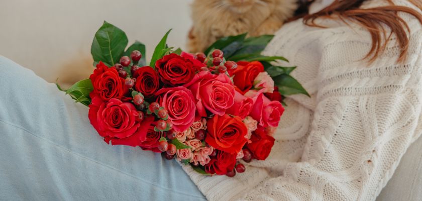 Vibrant red roses with pink accents arranged on a cozy lap, perfect for gifting or decoration.