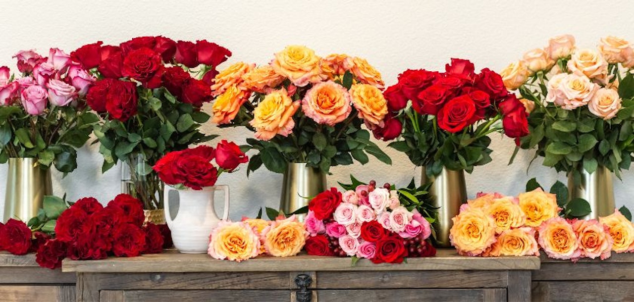 Vibrant display of roses in various colors, elegantly arranged in stylish vases for special occasions.