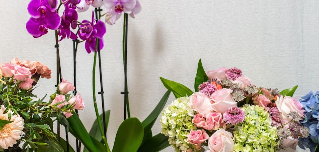 Vibrant floral arrangement featuring orchids, roses, and hydrangeas in a harmonious display.