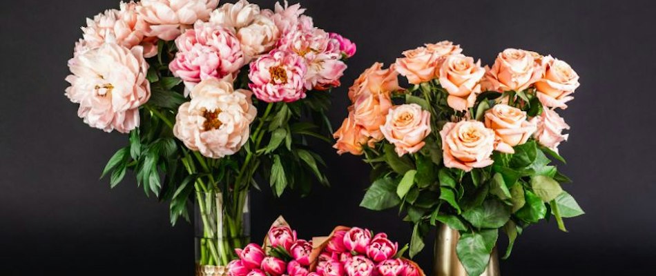 Elegant floral display featuring pink peonies and peach roses in stylish vases.