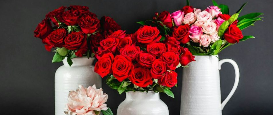 Vibrant red and pink roses elegantly arranged in white vases, perfect for any celebration.