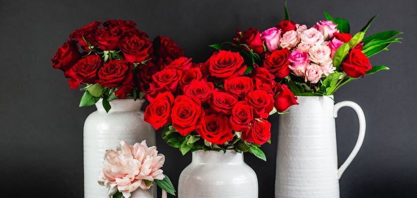 Vibrant red and pink roses elegantly arranged in white vases, perfect for any celebration.