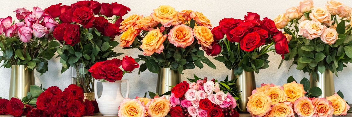 Colorful display of roses in various shades arranged elegantly in vases, ideal for any celebration.