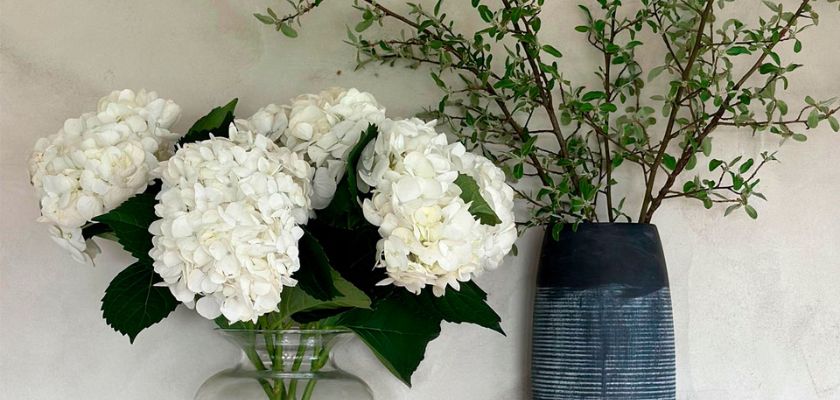 Elegant white hydrangeas paired with greenery in a modern vase, perfect for home decor.