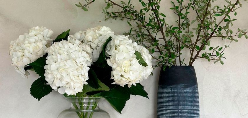 Elegant white hydrangeas paired with greenery in a modern vase, perfect for home decor.