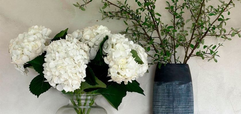 Elegant white hydrangeas paired with greenery in a modern vase, perfect for home decor.