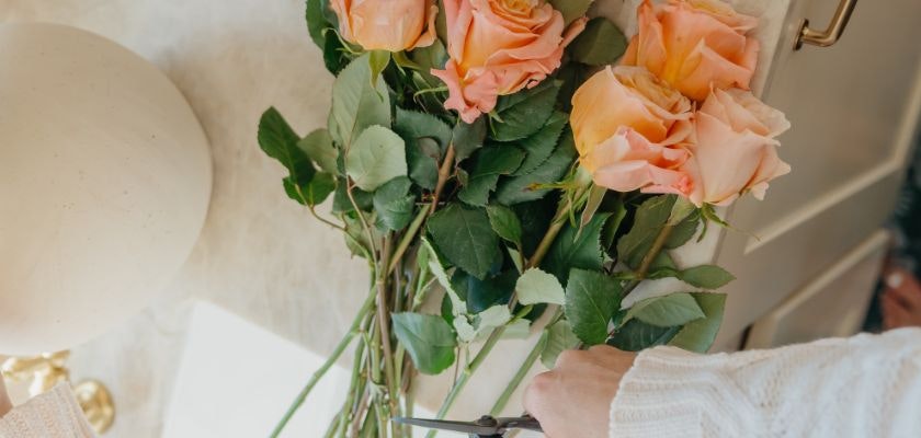 Delicate peach roses with lush green leaves, freshly cut for a charming floral arrangement.