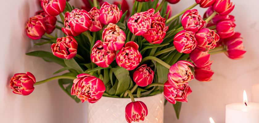 Vibrant pink tulips beautifully arranged in a decorative vase, surrounded by glowing candles.