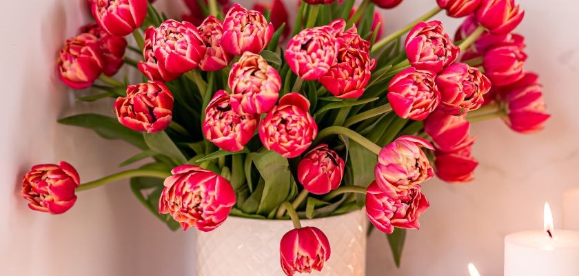 Vibrant pink tulips beautifully arranged in a decorative vase, surrounded by glowing candles.