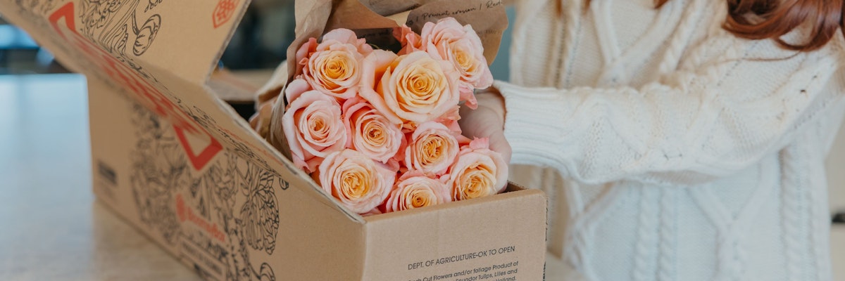 A person unwrapping a box of delicate peach roses, showcasing floral delight and joyful gifting.