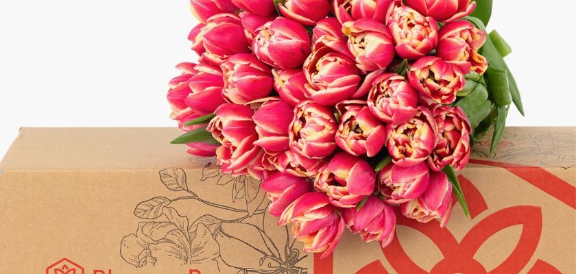 Vibrant pink tulips elegantly arranged, packaged in a beautifully designed BloomsyBox.