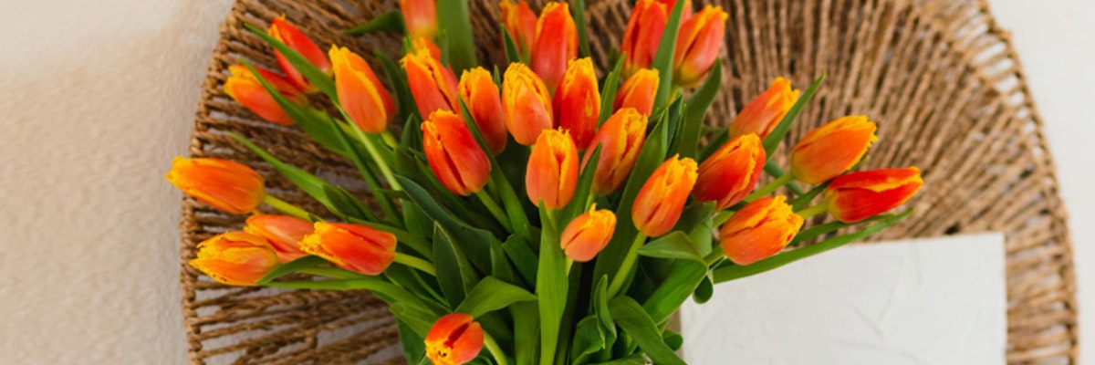 Vibrant orange tulips elegantly arranged in a decorative woven basket, adding warmth to any space.