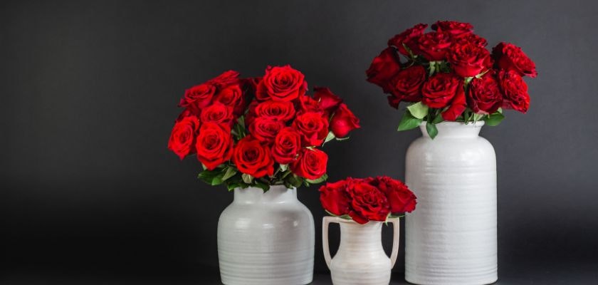 Vibrant red roses in elegant white vases, creating a striking floral display for special occasions.