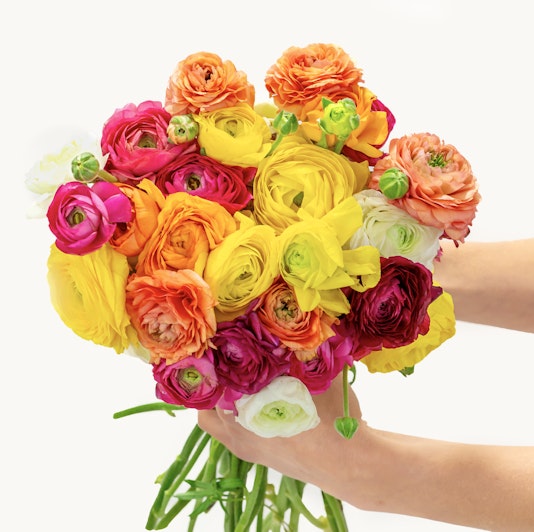 A vibrant bouquet of 30 premium ranunculus stems in white, orange, pink, red, and yellow.
