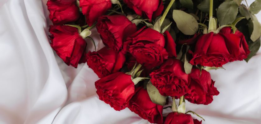 Vibrant bouquet of fresh red roses, elegantly laid on a white fabric background, symbolizing love.