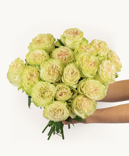 A stunning bouquet of creamy white roses with soft green accents, perfect for elegant events.