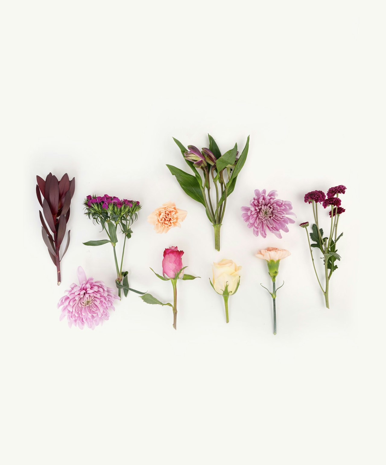 A collection of colorful flowers including roses, dahlias, and greenery arranged artistically.