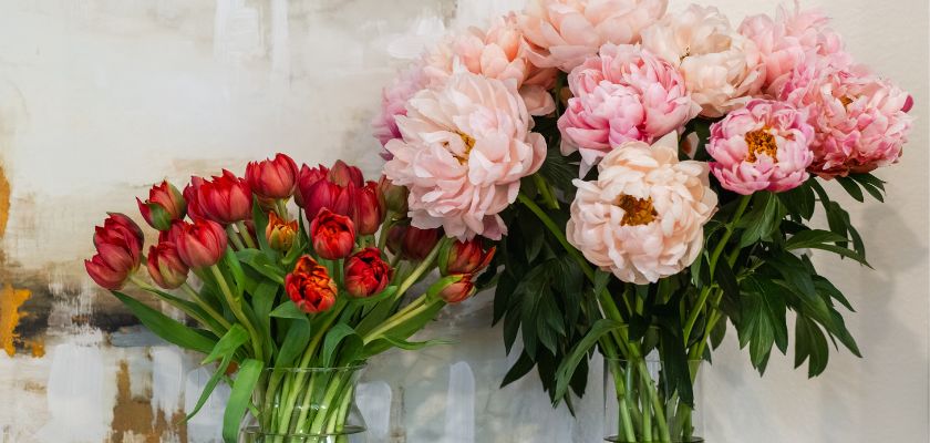 Vibrant arrangement of red tulips and pink peonies in elegant vases, adding floral charm.