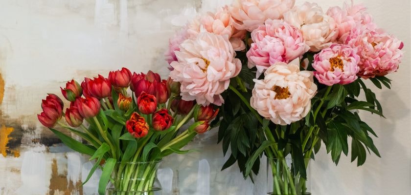Vibrant arrangement of red tulips and pink peonies in elegant vases, adding floral charm.