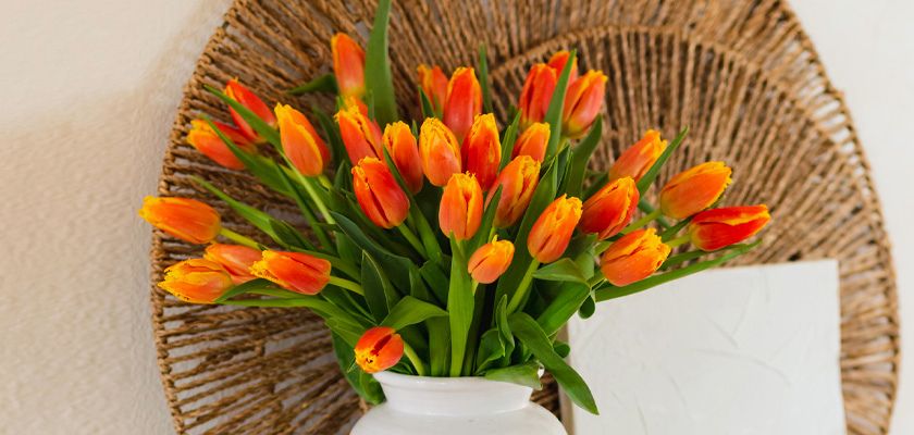 Vibrant bouquet of orange tulips in a white vase, showcased on a decorative woven tray.