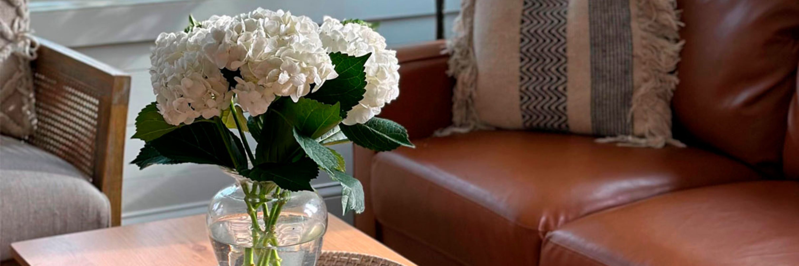Elegant white hydrangeas in a glass vase on a wooden coffee table, complementing cozy decor.