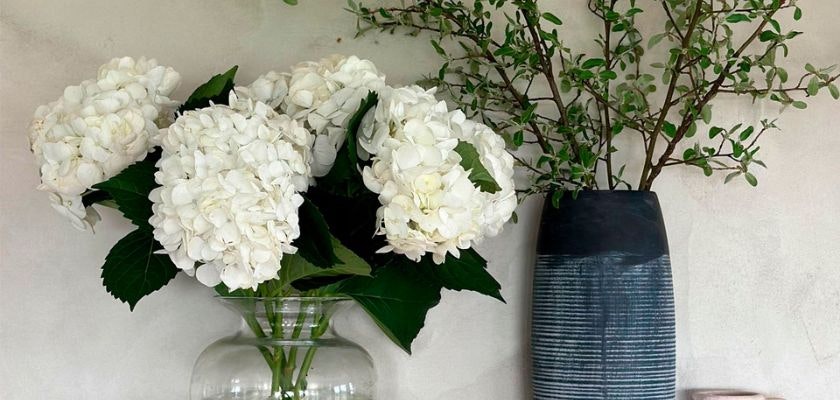 Elegant white hydrangeas in a glass vase paired with greenery, enhancing a serene space.