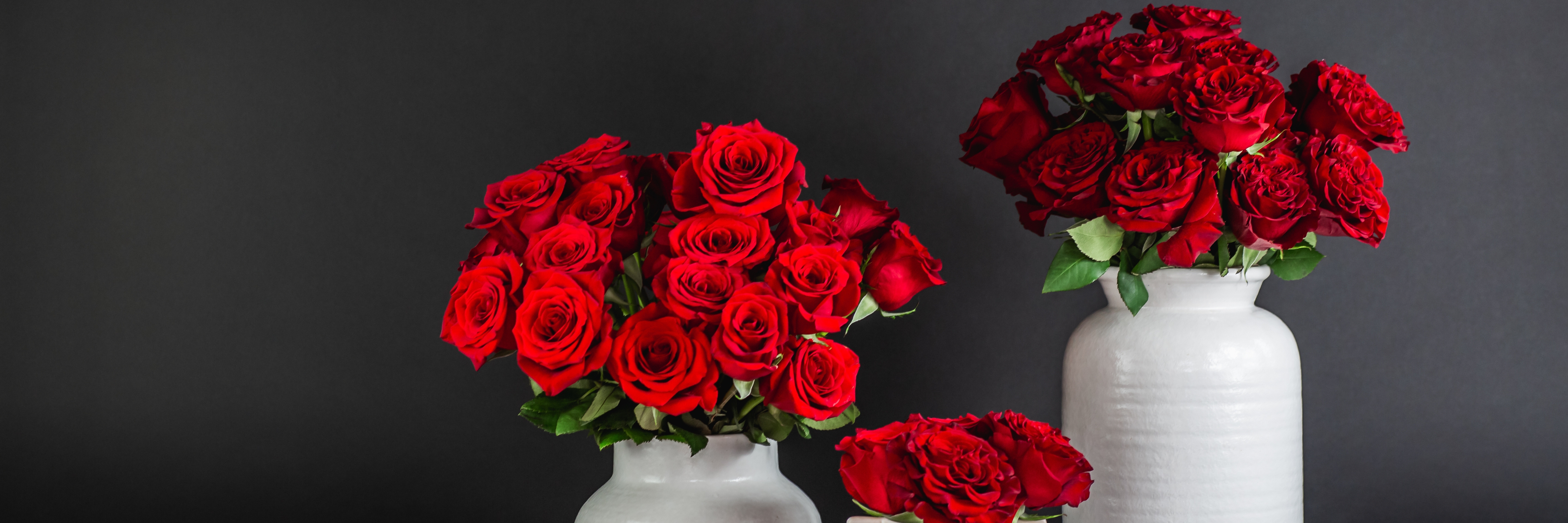 Elegant arrangement of vibrant red roses in two stylish vases against a dark background.