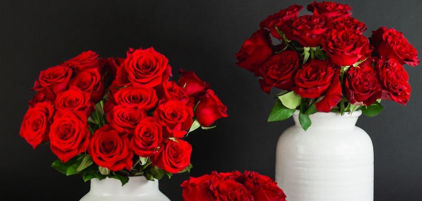 Vibrant red roses elegantly arranged in white vases, creating a stunning centerpiece.
