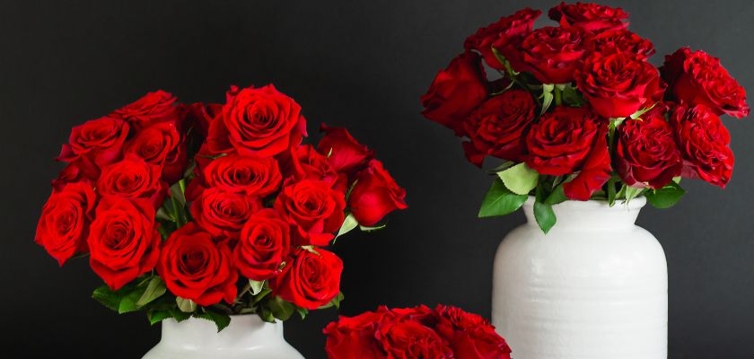 Vibrant red roses elegantly arranged in white vases, creating a stunning centerpiece.