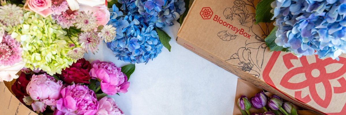 Vibrant bouquet of hydrangeas, peonies, and assorted flowers from BloomsyBox.