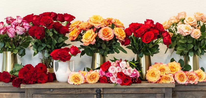 Vibrant floral display featuring assorted roses in various colors, elegantly arranged.