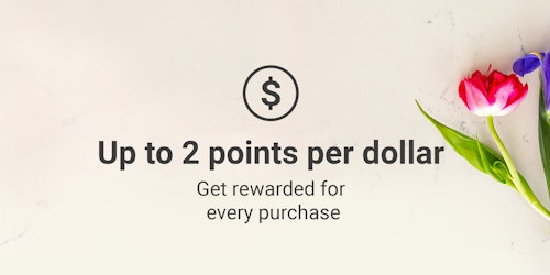 Up to 2 points per dollar