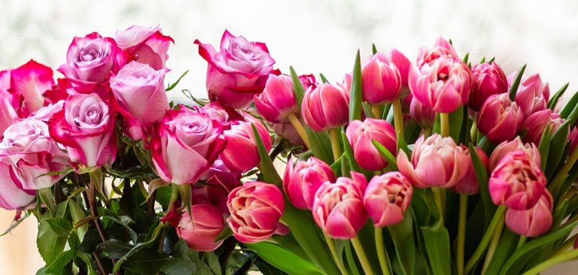 Vibrant arrangement of pink roses and tulips, perfect for celebrations and gifts.