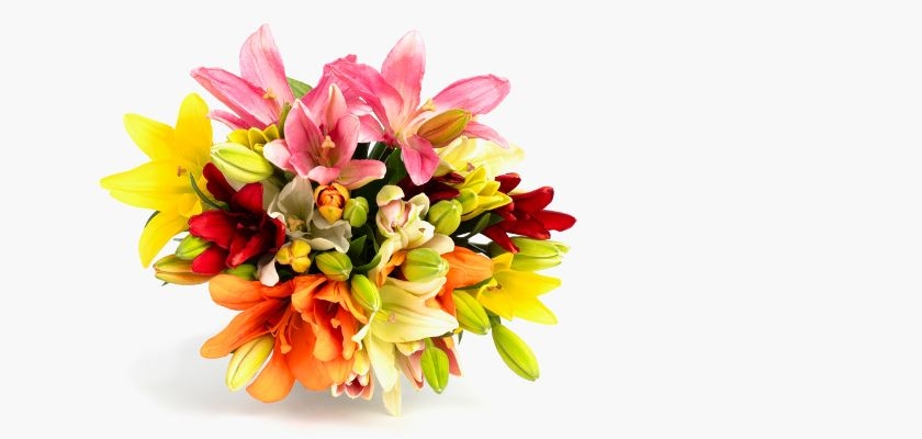 Vibrant mixed lily bouquet featuring pink, yellow, orange, and red blooms for all occasions.