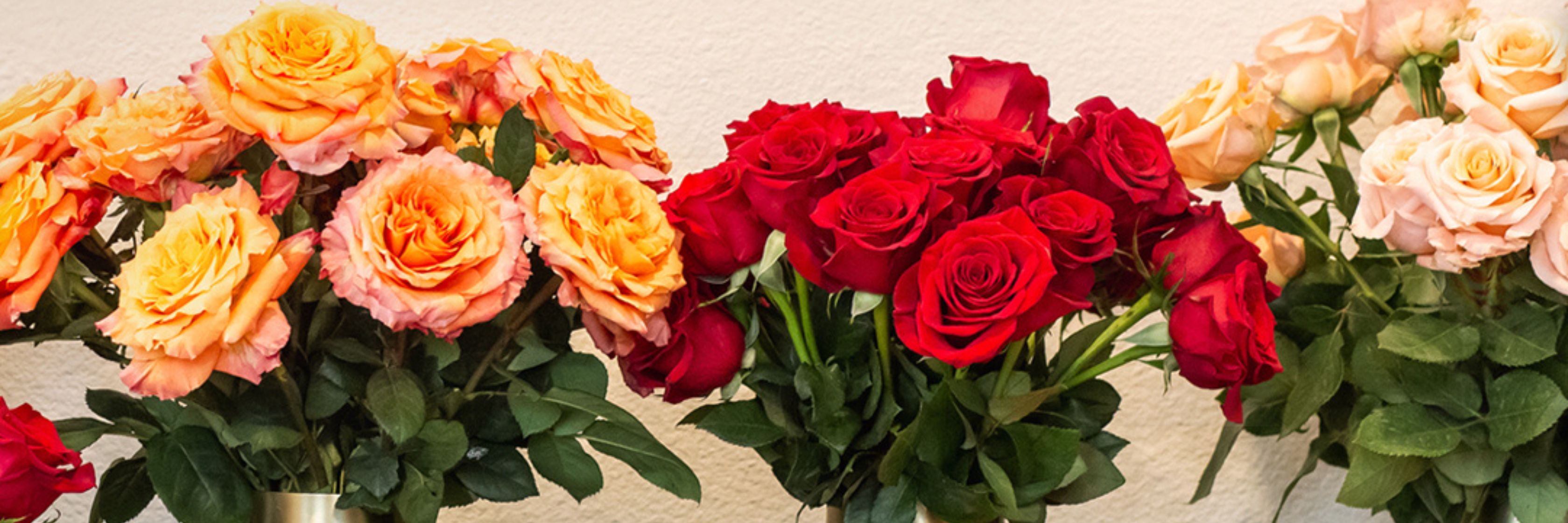 Vibrant bouquet of mixed roses featuring red and orange hues, perfect for gifting.