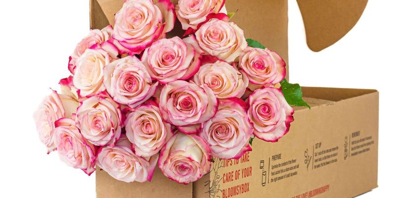 A beautiful bouquet of pink and white roses elegantly presented in a gift box.