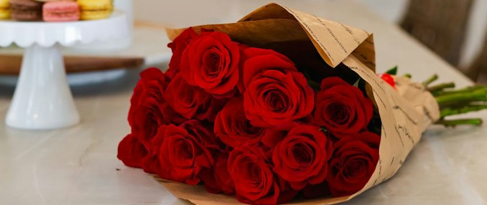 Freshly wrapped bouquet of vibrant red roses, perfect for expressing love and affection.